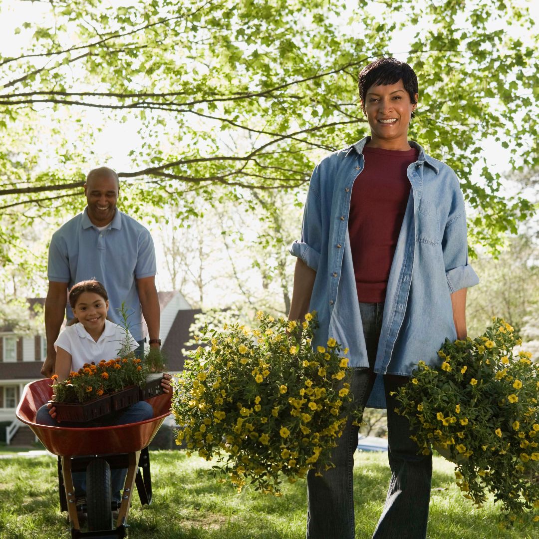 homeowners with new plants for yard