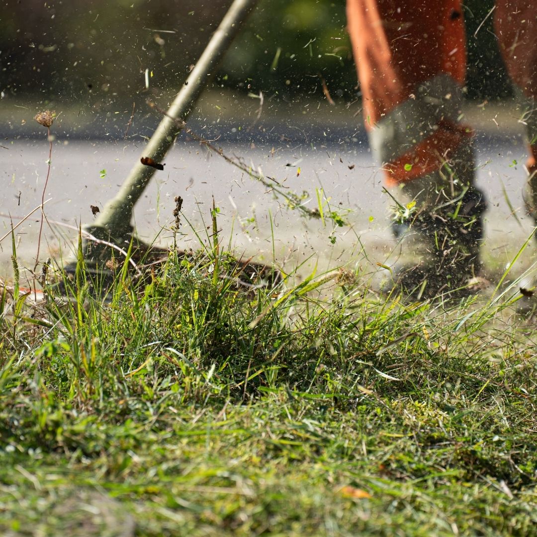 weedeating grass