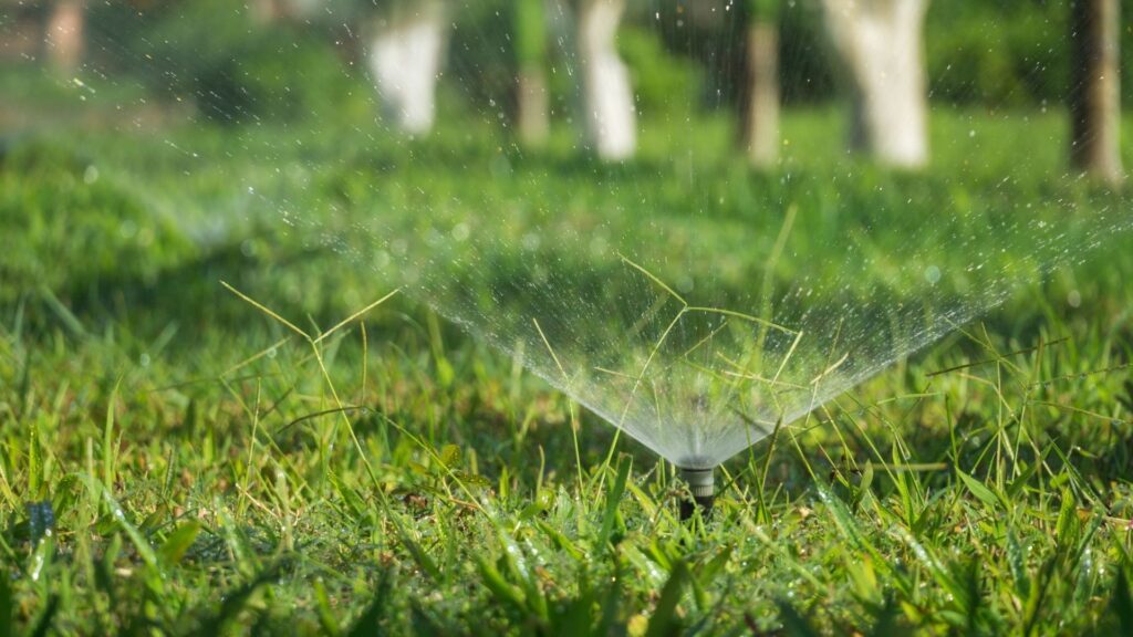 sprinkler system